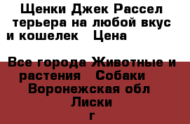 Щенки Джек Рассел терьера на любой вкус и кошелек › Цена ­ 13 000 - Все города Животные и растения » Собаки   . Воронежская обл.,Лиски г.